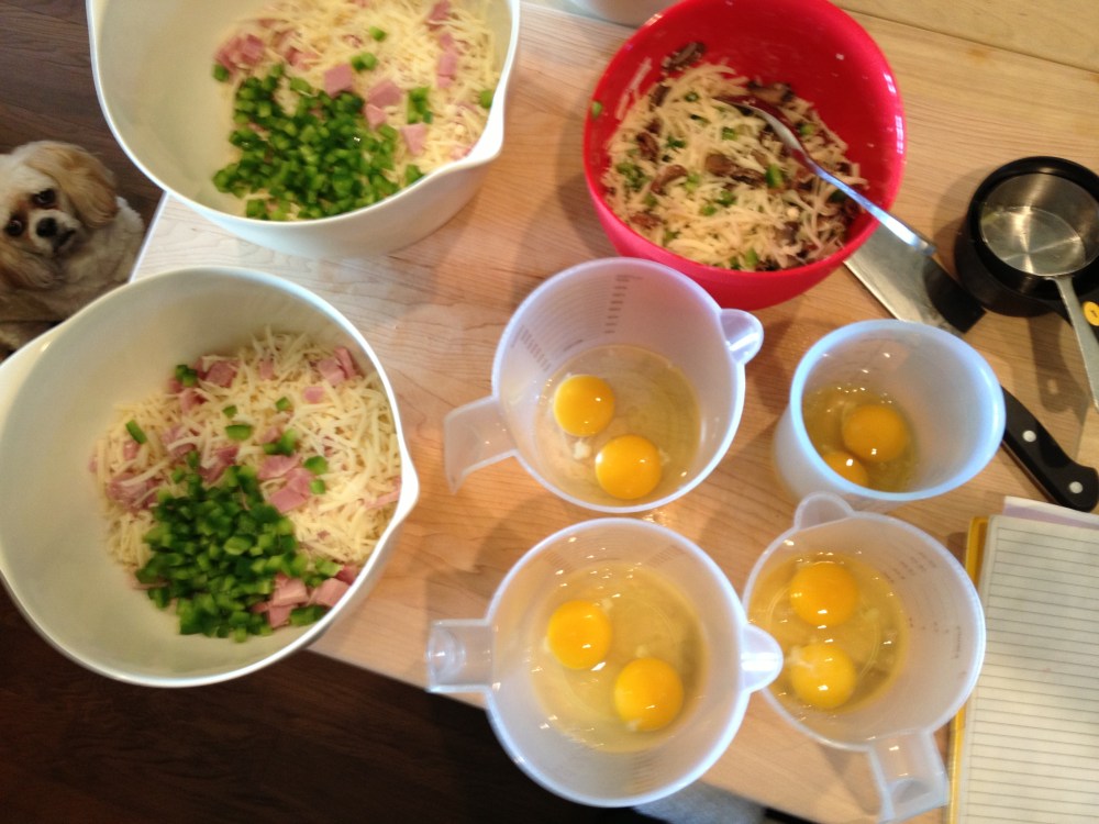 Macy, hoping tasty mosels will fall from the sky.