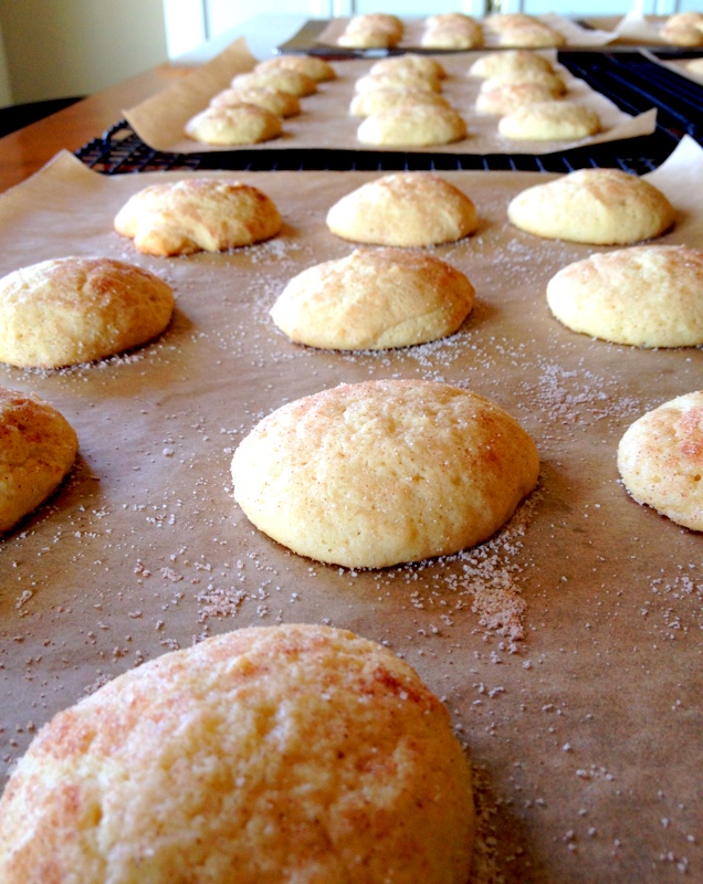 Buttermilk Sugar Cookies as far as the eye can see (or until the table top ends)