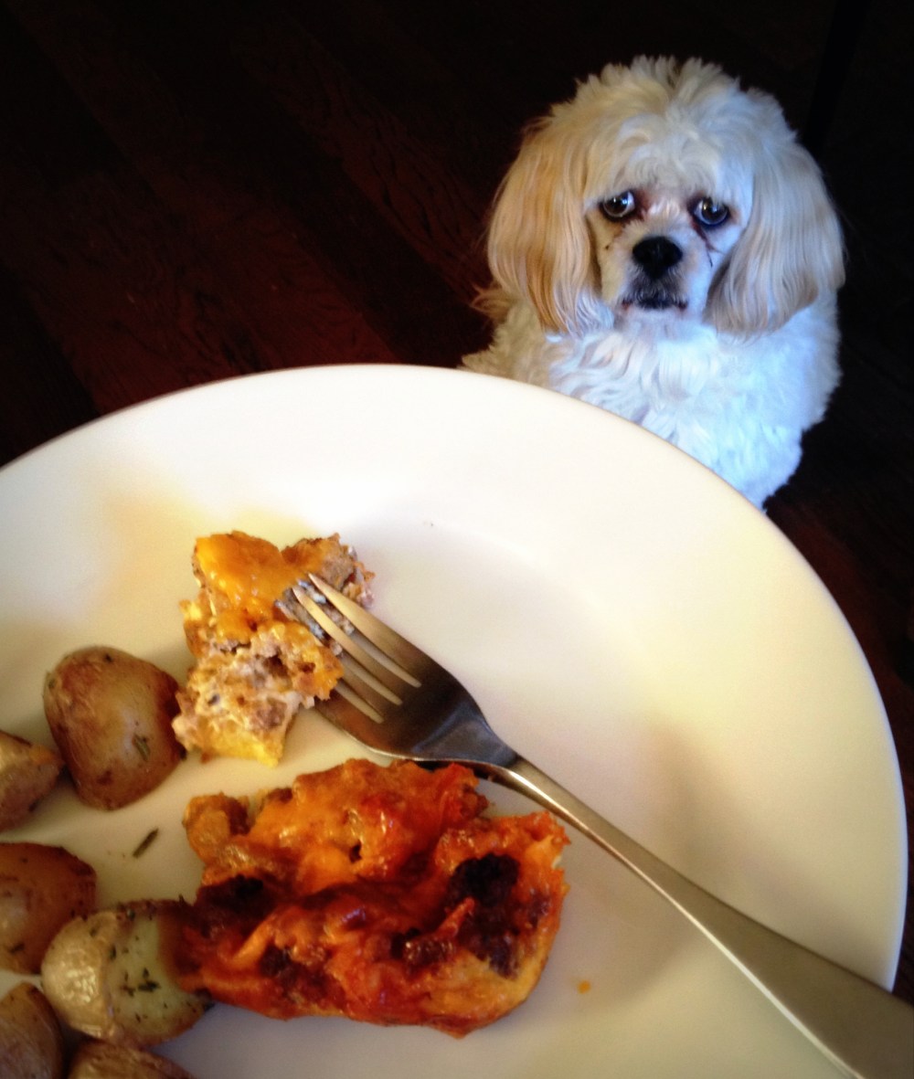 Yes, Macy lurks wherever food is being dished up.