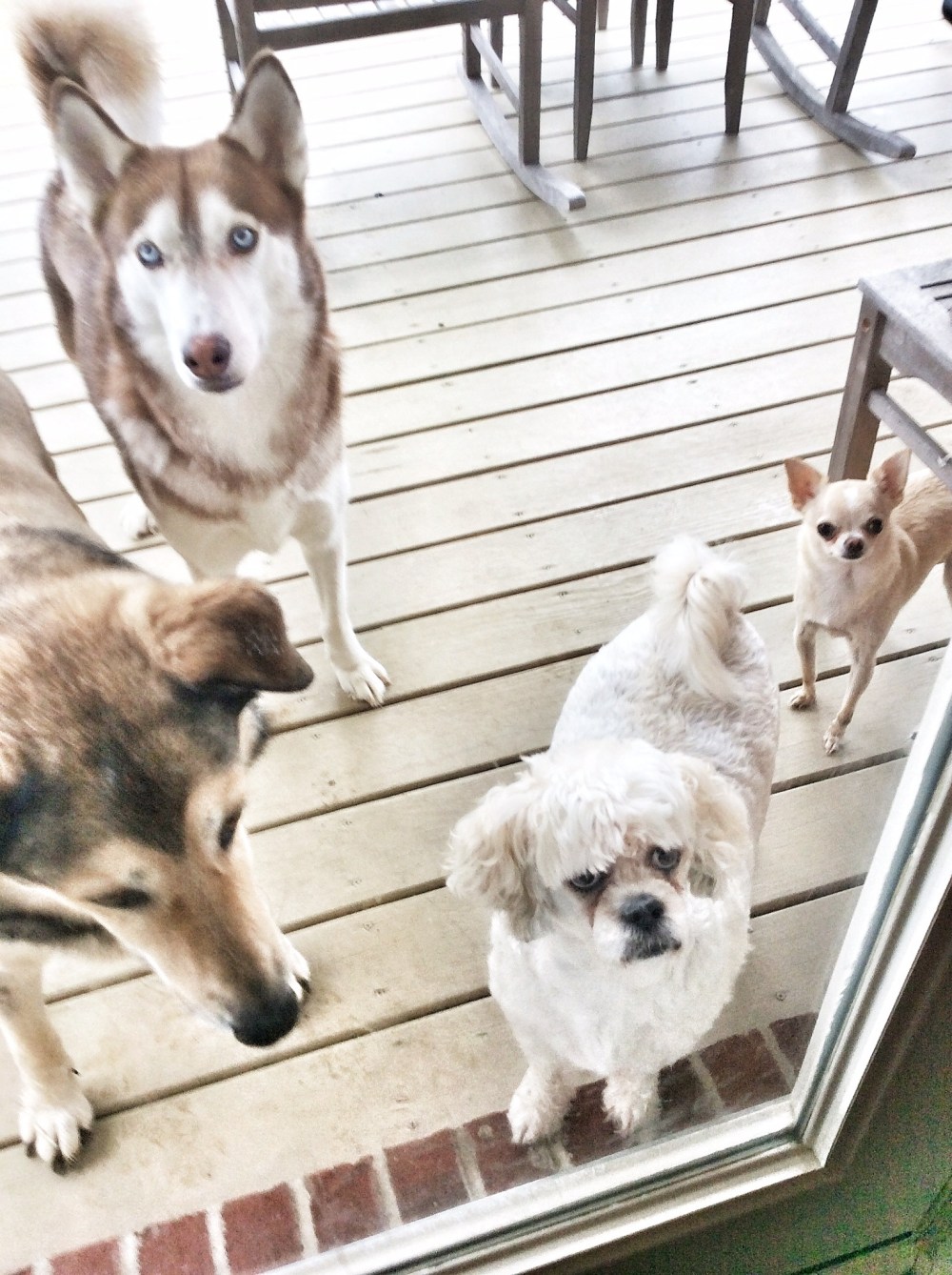 And what else might be coming in with you?